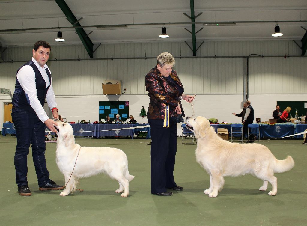 Midland GRC, Championship show UK